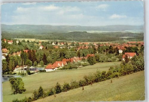 Bad Sachsa Schwimmbad Panorama