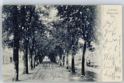 Ballenstedt Allee