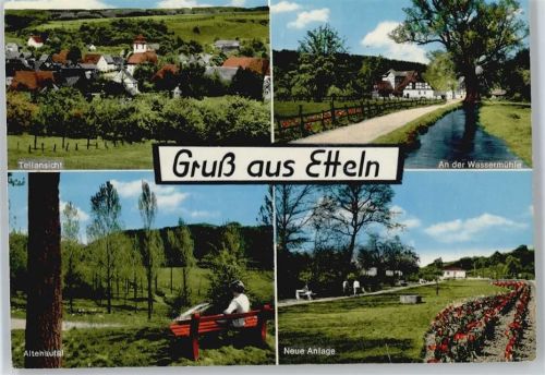 Etteln Blumen Bank Panorama