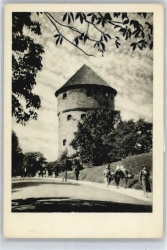 Tallinn Turm Kick in de Kök
