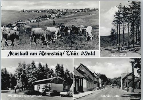 Neustadt Kuhweide, Waldbaude Dreiherrnstein, Bahnhofstraße