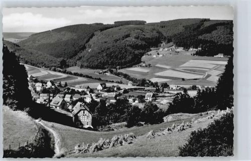 Schwalefeld Berg Feld Haus Baum