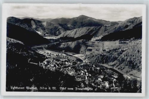Wolfach Luftaufnahme