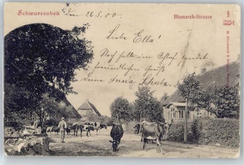 Schwarzenbek Bismarck-Straße