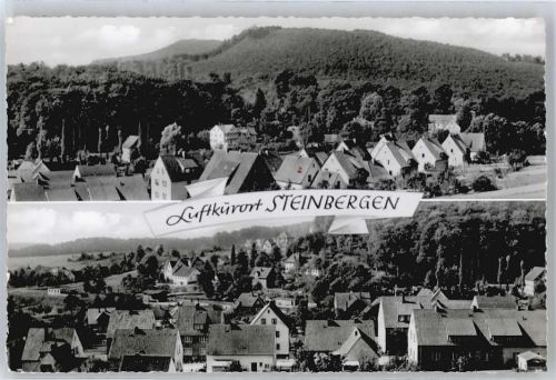Steinbergen