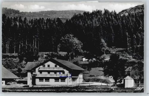 Bodenmais Gasthof, Pension Bären