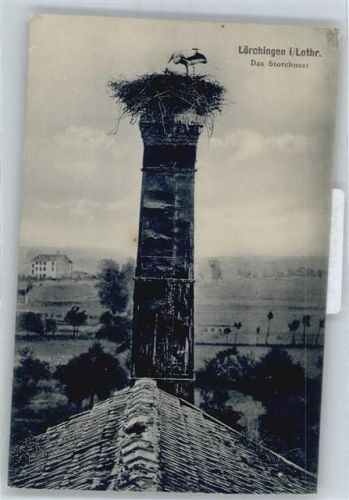Lorquin Storchennest