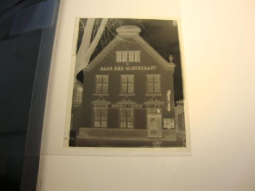 Heide Negativ