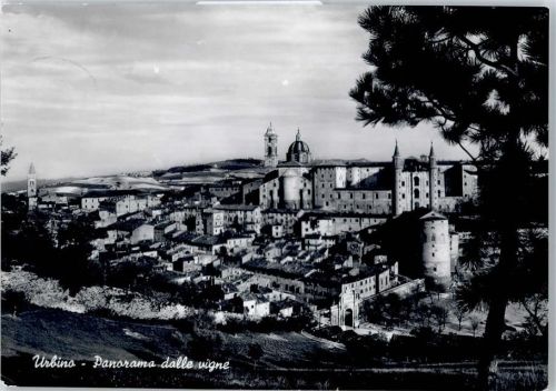 Urbino
