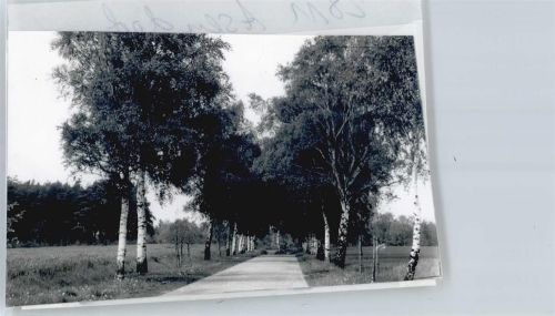 Asendorf Foto mit Negativ, Baumallee