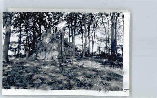 Schwanewede Foto mit Negativ