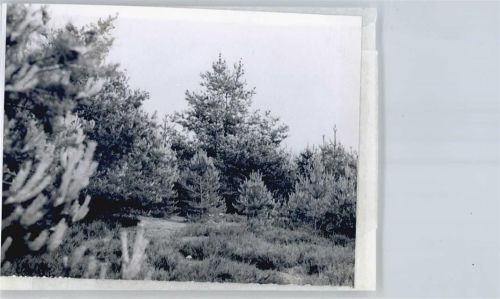 Grußendorf Foto mit Negativ