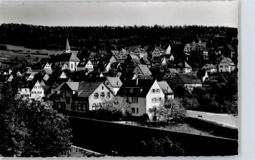 Wildberg