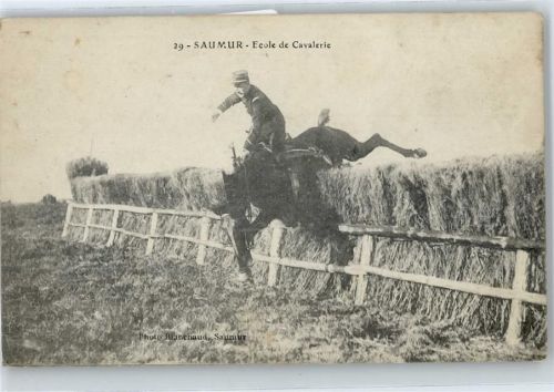 Saumur Pferd