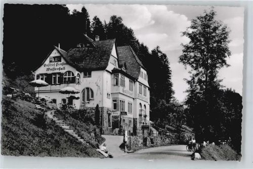 76596 W7564 Raumünzach - Hotel Wasserfall
