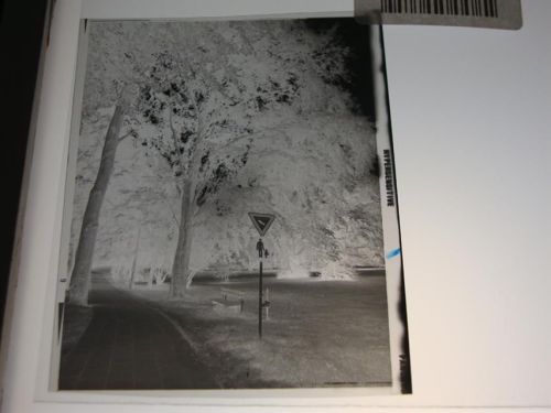 Osterholz-Scharmbeck Negativ