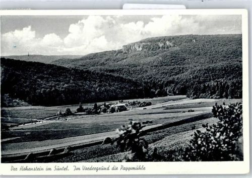 Hessisch Oldendorf Landpoststempel, Der Hohenstein im Süntel, Pappmühle