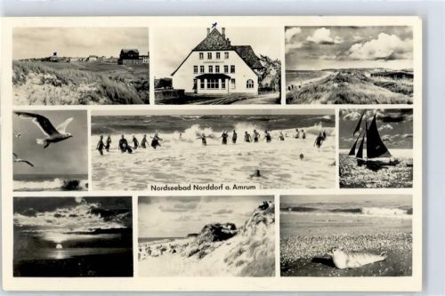 Norddorf Ambronenhaus, Strand, Robbe, Möwe, Boot