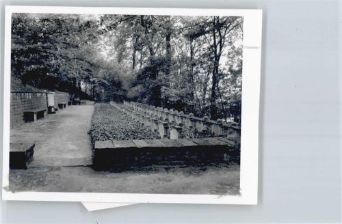 Ilvese Foto mit Negativ