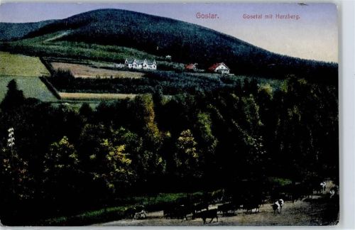 Goslar Gosetal, Herzberg