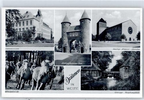Dülmen Gymnasium, Wildpferde, Lüdinghauser Tor, Kirche, Teichmühle
