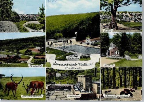 Vielbrunn Teilansicht, Schwimmbad, Wild, Dorfbrunnen, hainhaus