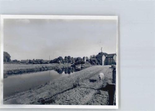 31595 W3074 Steyerberg FOTO KEINE AK Foto mit Negativ