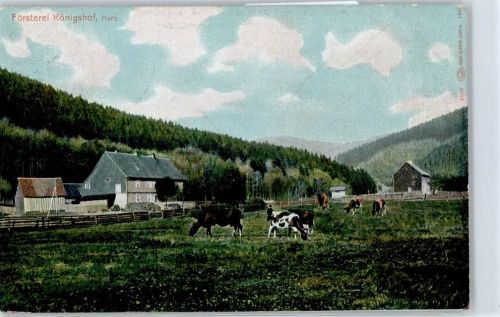 St. Andreasberg Försterei Königshof , Kuhweide