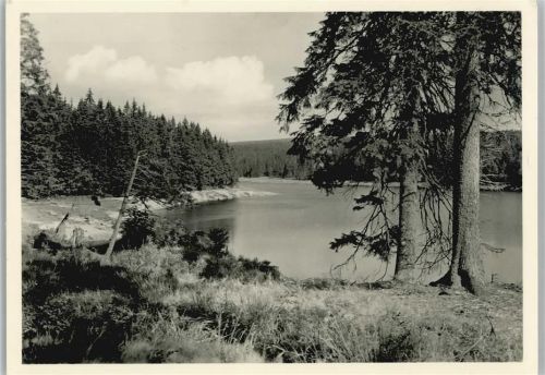 St. Andreasberg Am Oderteich älteste Talsperre Foto AK