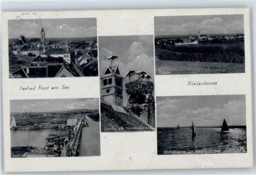 Rust Seebad, Neusiedlersee, Störche