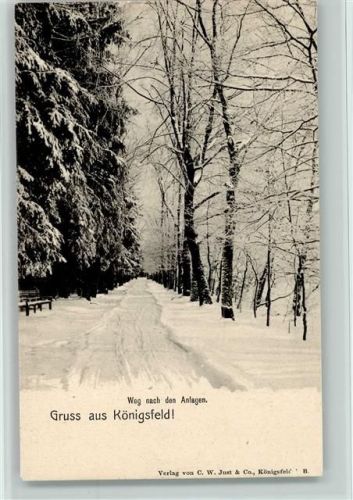 Königsfeld Weg nach den Anlagen Winter