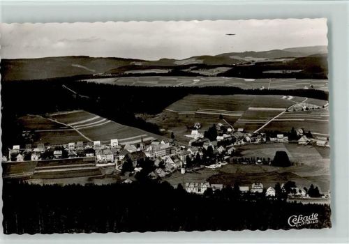 Schönwald Luftaufnahme