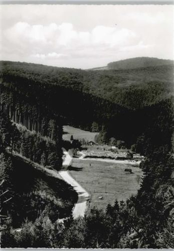 Scharzfeld 1965 Waldschwimmbad Foto AK