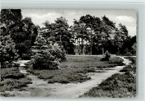 Gifhorn Heideweg
