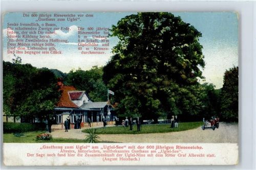 Eutin Gasthaus zum Uglei am Ugleisee, 600-jährige Rieseneiche