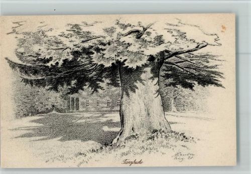 Reinhardsbrunn 1927 Tanzbuche ( Bäume ) AK