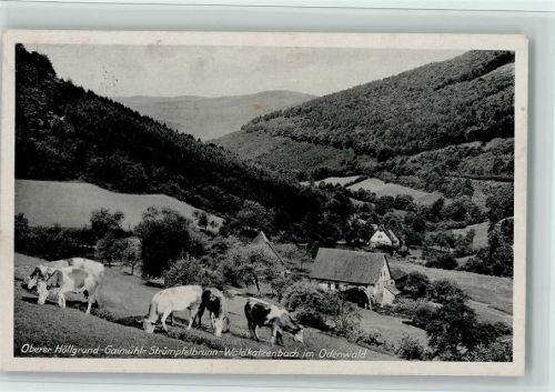 Waldkatzenbach OBerer Höllengrund Gaimühl Strümpfelbrunn Ortsansicht Kühe