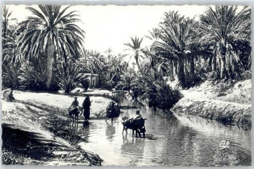Alger AKU2