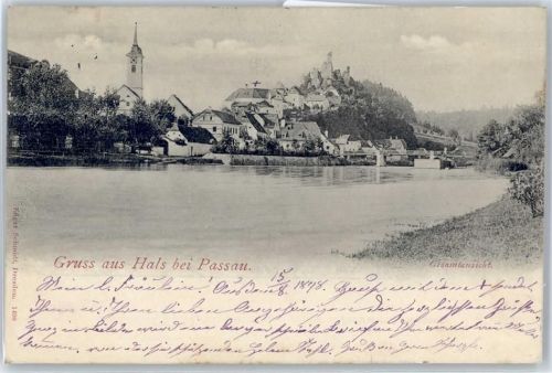 Hals Gesamtansicht