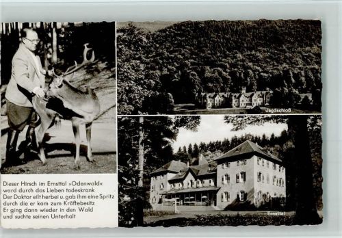 Ernsttal Jagdschloß Gasthof Pension Ernsttal Hirsch