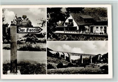 Eiswoog Gasthof Forelle Wegweiser Brücke