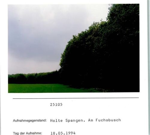 Holte-Spangen Am Fuchsbusch Foto montiert auf Karton