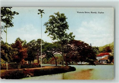 Kandy Victoria Drive