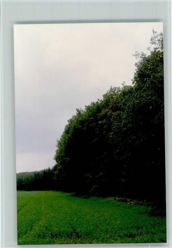 Holte-Spangen Am Fuchsbusch
