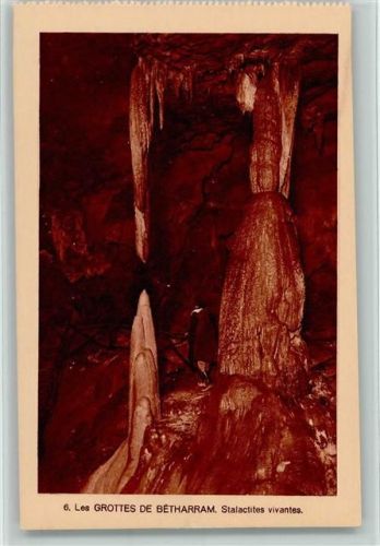 Lestelle-Betharram Les Grottes de Betharram Stalactites vivantes