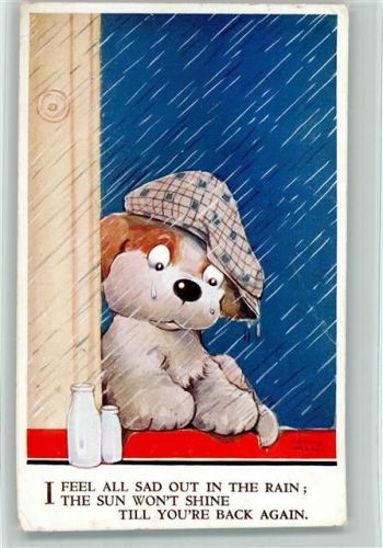 Hund mit Mütze neben Milchflaschen bei Regen
