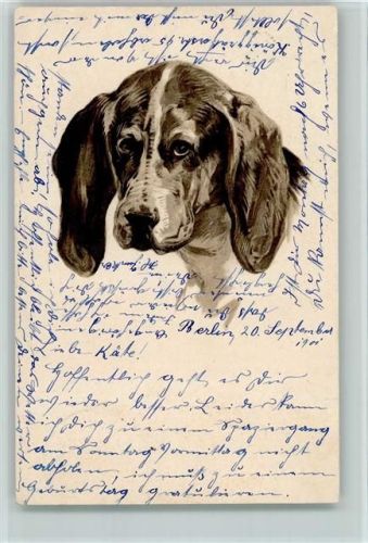 1901 Jagdhund AK