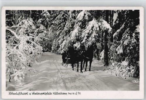 Kälberbronn Pferdeschlitten Winter