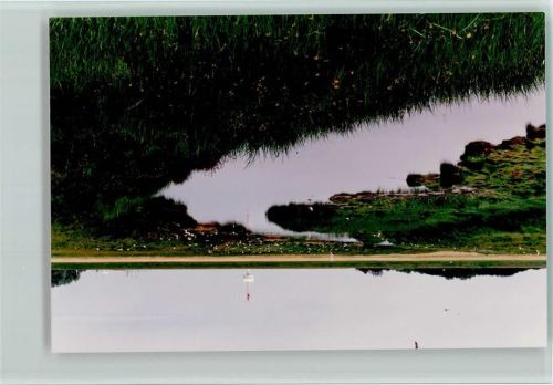 Hamburg-Insel Neuwerk Prül Deichvorland