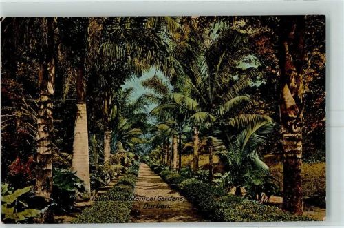 Durban Palm Walk Botanical Gardens